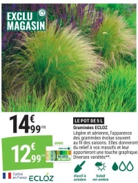 Graminées ECLOZ