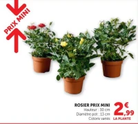 ROSIER PRIX MINI