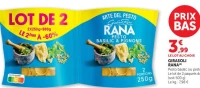 GIRASOLI RANA (4)