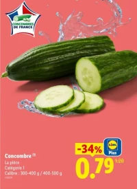 Concombre