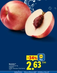 Nectarine (8)