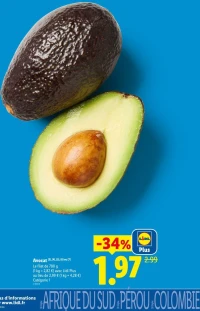 Avocat