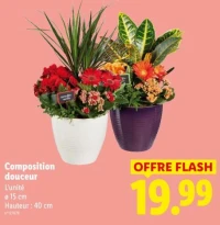 Composition douceur