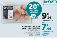 NOIX DE COQUILLE SAINT JACQUES U(6)