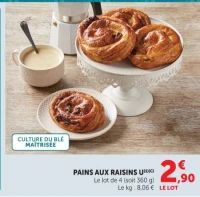 PAINS AUX RAISINS U