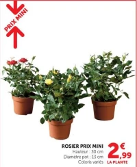 ROSIER PRIX MINI