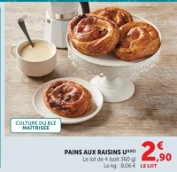 PAINS AUX RAISINS U