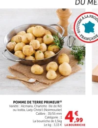 POMME DE TERRE PRIMEUR