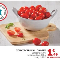 TOMATE CERISE ALLONGEE (2)