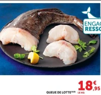 QUEUE DE LOTTE