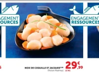 NOIX DE COQUILLE ST JACQUES