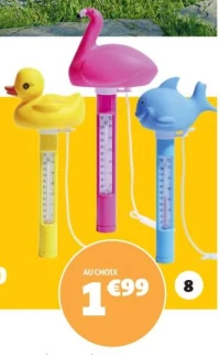 THERMOMÈTRE FANTAISIE