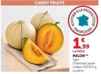 MELON