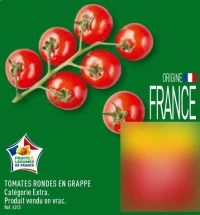 TOMATES RONDES EN GRAPPE