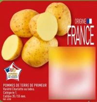 POMMES DE TERRE DE PRIMEUR Variété Charlotte ou Iodea. Catégorie 1. Calibre 35 / 55 mm.
