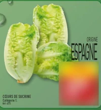 CŒURS DE SUCRINE Catégorie 1.