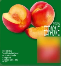 NECTARINES Variétés à chair jaune ou à chair blanche. Catégorie 1. Calibre C (56/61 mm).