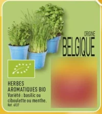 HERBES AROMATIQUES BIO