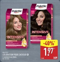 PALETTE COLORATION POUR CHEVEUX