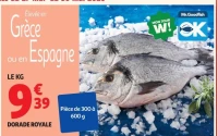 DORADE ROYALE
