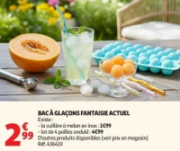 BAC À GLAÇONS FANTAISIE ACTUEL