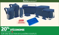 Pains de glace