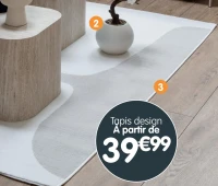 Tapis design