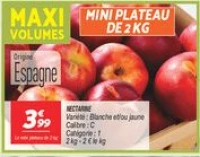 Nectarine 