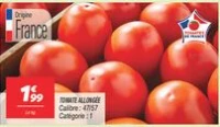 Tomate allongée 