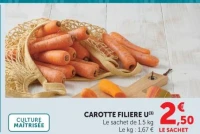 CAROTTE FILIERE U