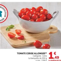 TOMATE CERISE ALLONGEE(2)