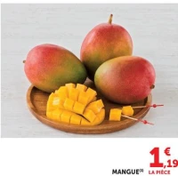 MANGUE(3)