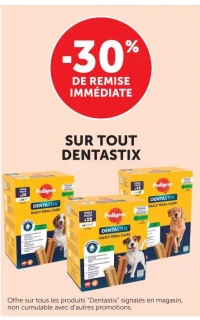 Pedigree Dentastix