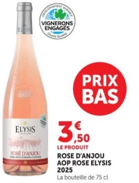 ROSE D'ANJOU AOP ROSE ELYSIS 2025