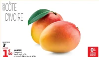 Mangue