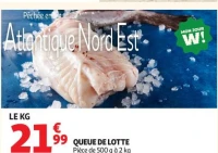 Queue de lotte