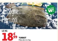 Turbot