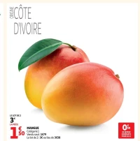 Mangue