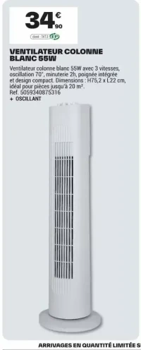 VENTILATEUR COLONNE BLANC 55W