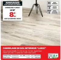 Carrelage de sol intérieur "Larix"