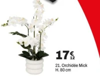 Orchidée Mick H. 80 cm