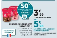 FRAMBOISES ENROBEES SURGELEES U