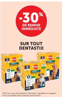 Tout Dentastix