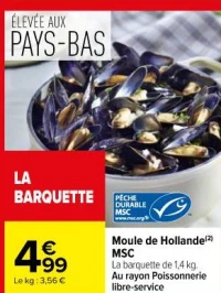 Moule de Hollande MSC