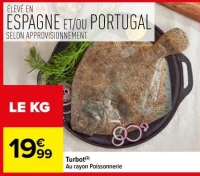 Turbot