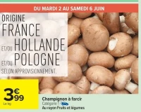 Champignon à farcir