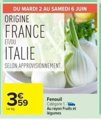 Fenouil