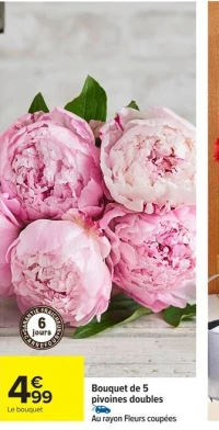 Bouquet de 5 pivoines doubles