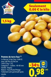 Pomme de terre four