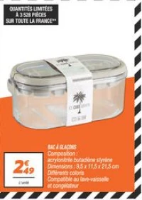 Bac à glaçons